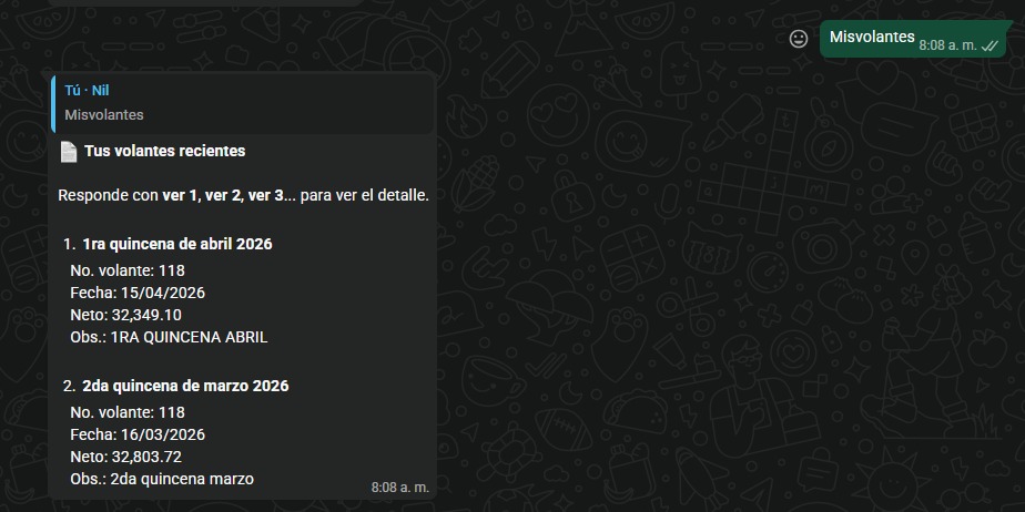 Vista del proyecto Automatización Volantes de Pago
